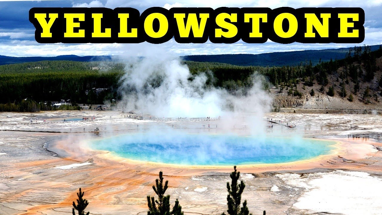 Lbry Block Explorer Claims Explorer - how to find the secret den yellowstone roblox