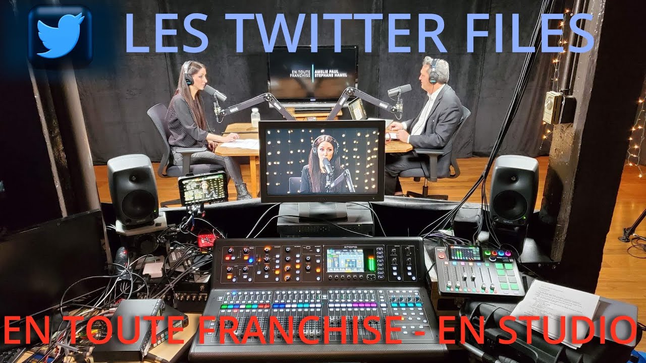 Twitter Files, Eric Duhaime, Carey Price, serment au roi, diffamation