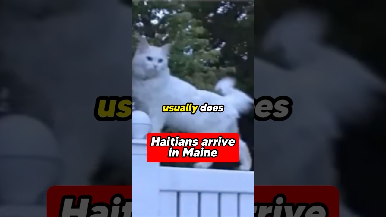 Haitians Arrive in Main and What Went Missing?