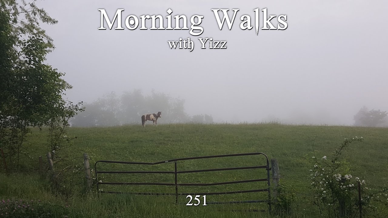 Morning Walks with Yizz 251 - Plastic & Wood, I See The End of Everything and I Worry