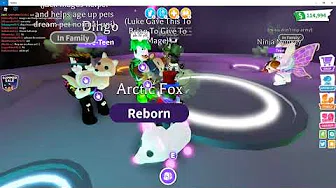 I Made A Neon Arctic Fox Adopt Me - neon arctic fox adopt me roblox