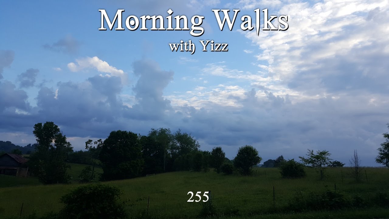 Morning Walks with Yizz 255