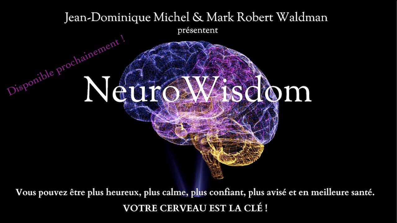 Présentation du nouveau programme NeuroWisdom (bientôt disponible)