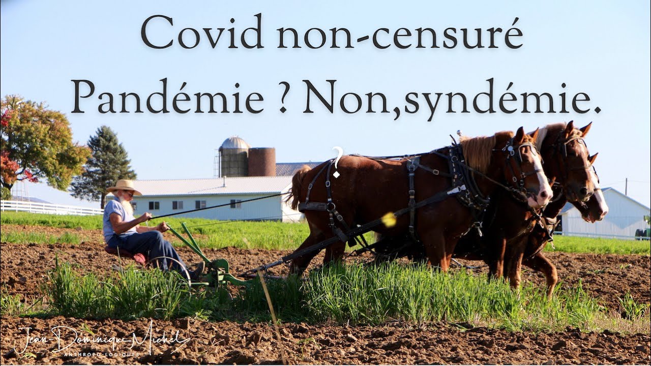 COVID non-censuré : pandémie ? Non, syndémie.