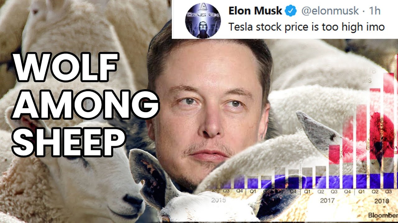 Download Elon Musk Tesla Price Meme PNG