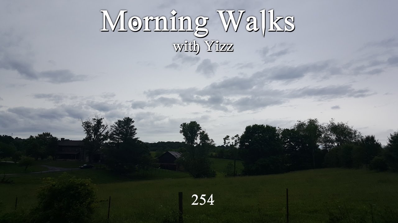 Morning Walks with Yizz 254