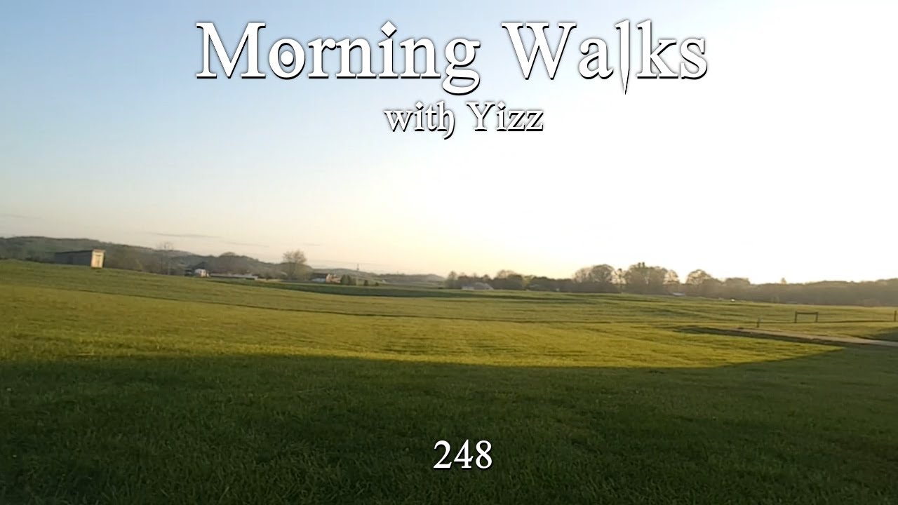 Morning Walks with Yizz 248
