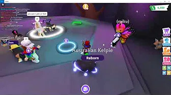 I Made A Mega Neon Australian Kelpie Adopt Me - roblox adopt me kelpie